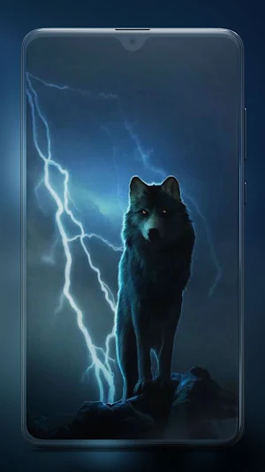 Wolf Wallpaper HD Screenshot 2