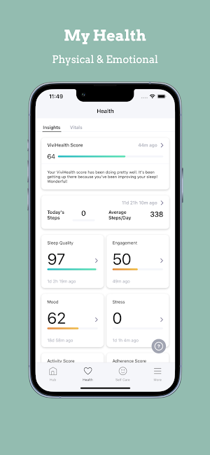 ViviCompanion Screenshot 1