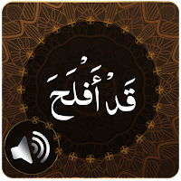 Para 18 Audio