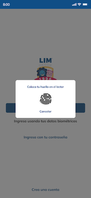 LIM KINDER Screenshot 1
