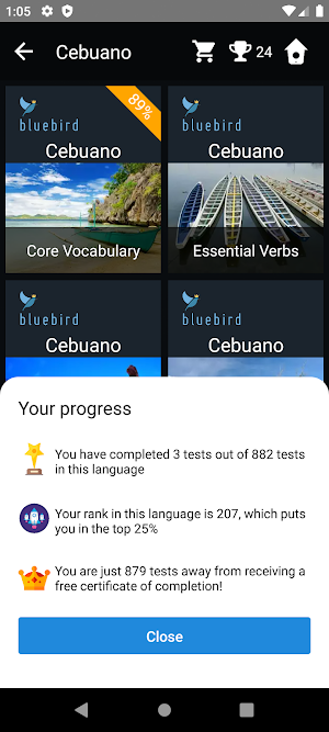 Cebuano Language Tests Screenshot 2
