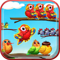 Bird Sort - Bird Match