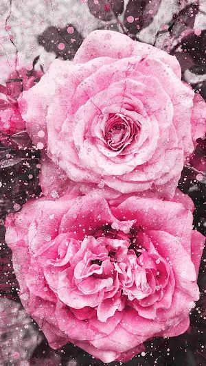 Pink wallpapers for girls Screenshot 1