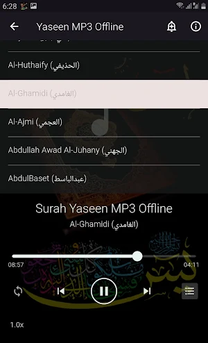 Yaseen MP3 Offline Screenshot 3