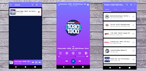 Polskie Radio 1030 Chicago Screenshot 3