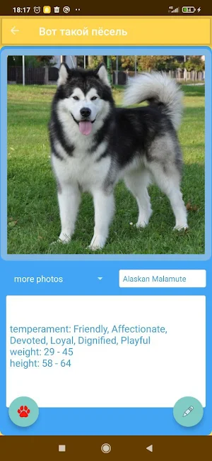 Dog breeds and photos Screenshot 0