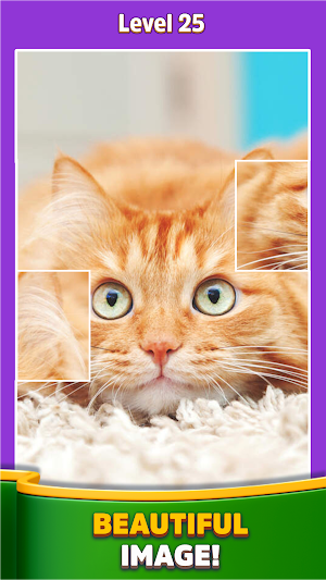 Jigsolitaire Jigsort Puzzle Screenshot 0