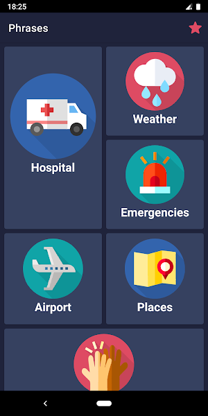 Travel Phrases Screenshot 3