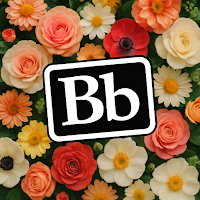 Beebopper official