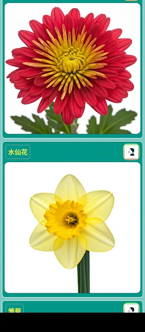 Flowers Screenshot 1