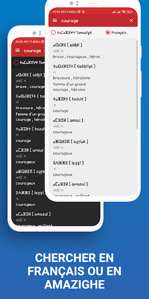 Dictionnaire Français Amazigh Screenshot 2