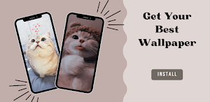 Cute Cat Wallpaper HD 4K Screenshot 0
