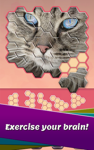 Block hexa puzzle - Animals Jigsaw Screenshot 0