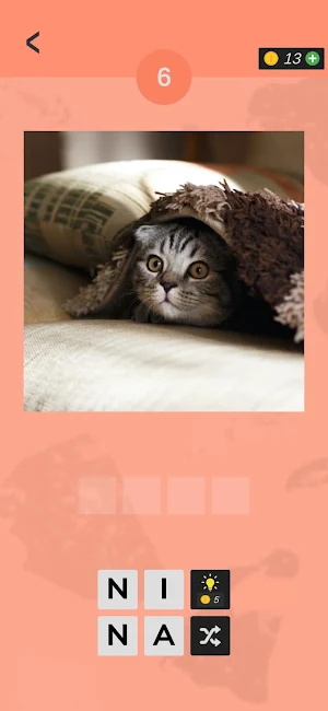 Guess The Cat Name Screenshot 3