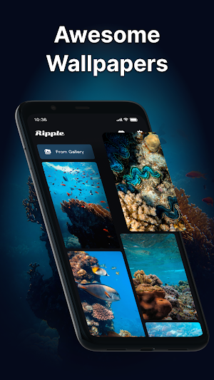 WaterRipple Live Wallpapers HD Screenshot 0