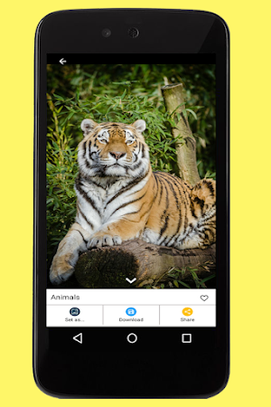 Animals Images Screenshot 2