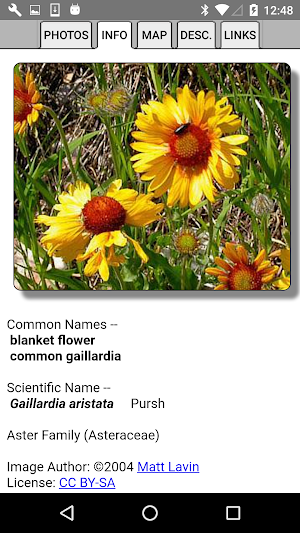 Idaho Wildflower Search Screenshot 3