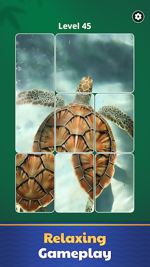 Jigsawart Solitaire Puzzle Screenshot 2