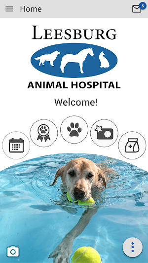 Leesburg Animal Hospital Screenshot 0