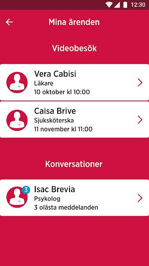 Vårdmöte - Region Jönköpings län Screenshot 3
