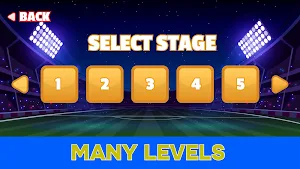 Football Game: Pro Kick Soccer Screenshot 3