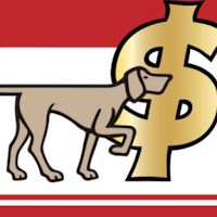 BirdDog Pro