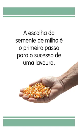 Doutor Milho Screenshot 2