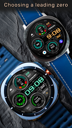 CFS146 Steel Gauge Screenshot 3