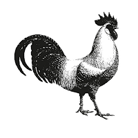 Hoenderdaell
