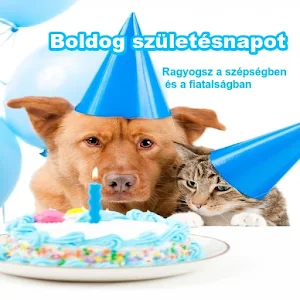 Boldog születésnapot Screenshot 1