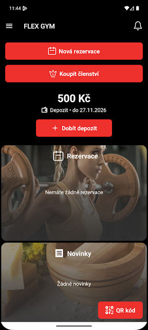 FLEX GYM Screenshot 0