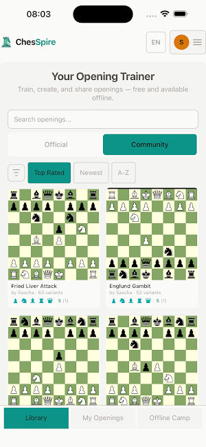 ChesSpire Screenshot 1