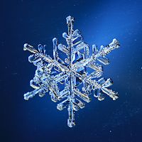 Winter festival 2023