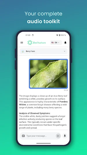 Deltaton Screenshot 3