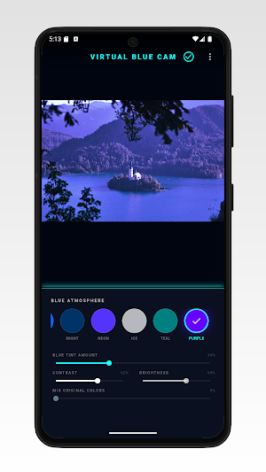 4K Virtual Blue Kamera Screenshot 2