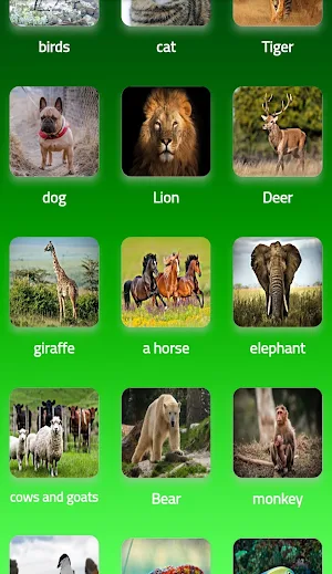 Cool animal wallpapers Screenshot 0