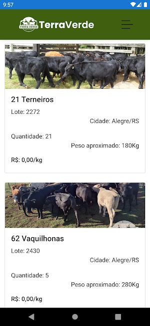 Terra Verde Screenshot 2