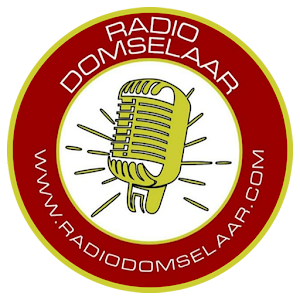 Radio Domselaar FM 91.1 MHZ Screenshot 1