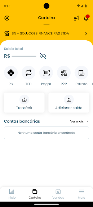 SN Bank Screenshot 2