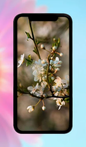 Flowers Wallpaper HD 4K Screenshot 1