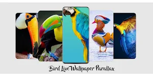 Bird Live Wallpaper Parallax Screenshot 0