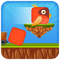 Square Bird