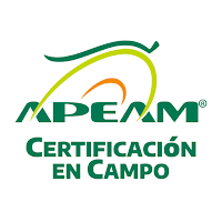 Avo Certificación