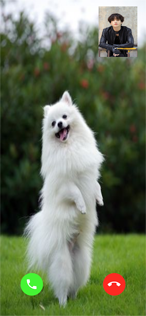 Pomeranian Dog Video Call Simulator Screenshot 2