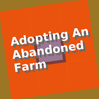 Book: Adopting An Abandoned