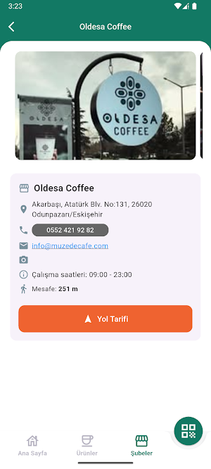 OLDESA Screenshot 1