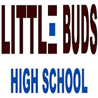Little buds high school