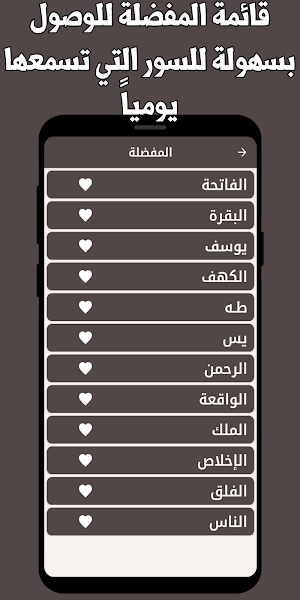 قران كريم ناصر القطامي بدون نت Screenshot 2