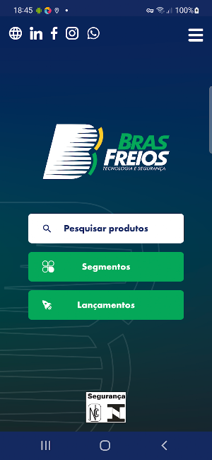 BRASFREIOS Screenshot 0