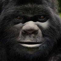 Bigfoot Sounds